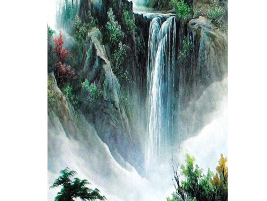 郑钦文前景一片光明